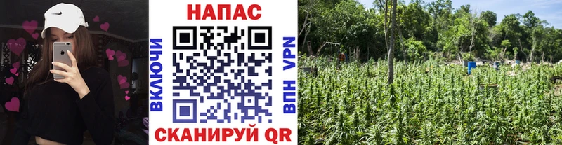 Купить закладку Ярцево Гашиш Бошки Шишки Мефедрон