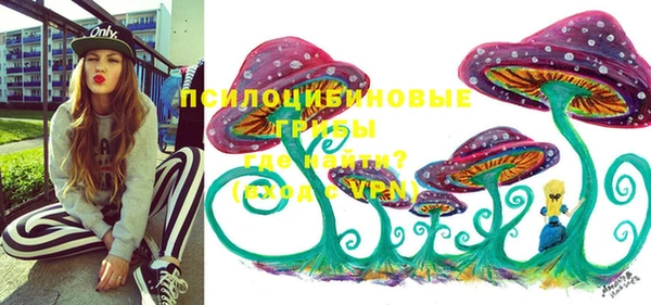 apvp Алексин