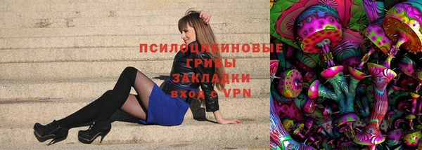 мдма Заводоуковск