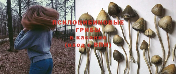 а пвп мука Алексеевка