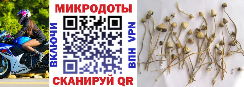 купить   Ярцево  Галлюциногенные грибы Cubensis 